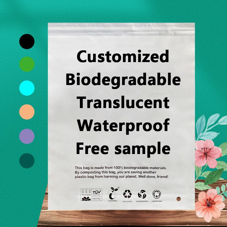 Zeal X lance des sacs biodégradables PLA PBAT haute performance pour des solutions d'emballage durables dans le monde entier