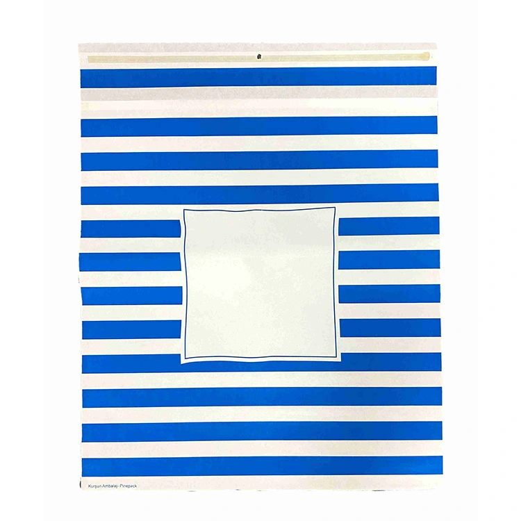 Sac en papier kraft blanc